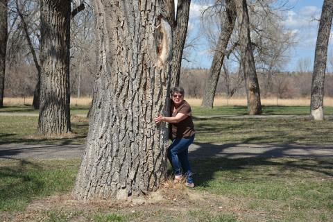 Mayor Sandra Jones celebrates Arbor Day by hugging a tree. Photo credit: Jamie Kirby, MT DNRC