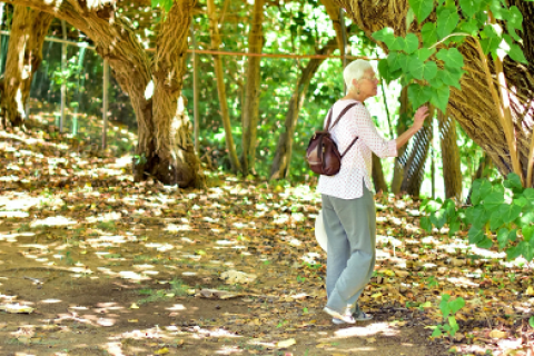Maui Nui Botanical Garden, photo taken by Blue Zones Project Hawai‘i