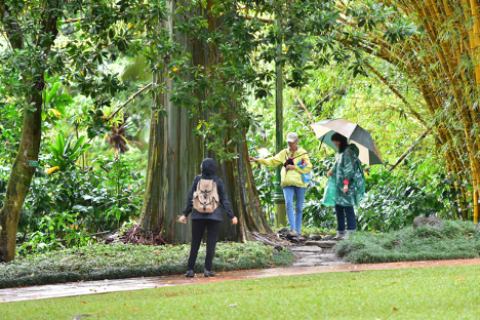 Foster Botanical Garden, photo taken by Blue Zones Project Hawai‘i