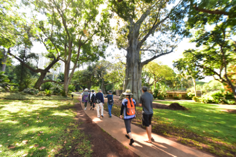 Foster Botanical Garden, photo taken by Blue Zones Project Hawai‘i