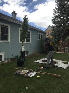 Rooted in Laramie volunteer prepping planting site to plant trees during the spring tree planting event in Laramie. Photo Credit: Hillary Lindmier, Rooted in Laramie Executive Director