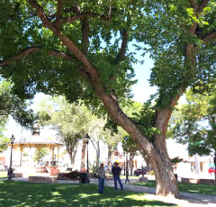 Socorro Plaza Today Photo Credit: Amy Bell, Groundwork Studio